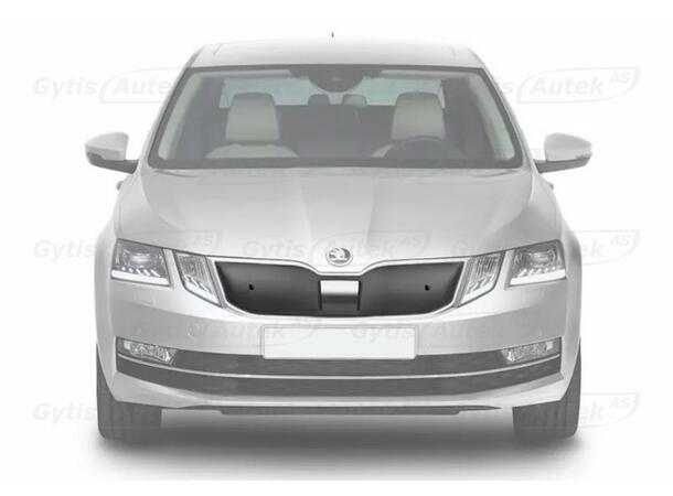 Vinterdeksel | Skoda Octavia 2013-2017 | gytisautek.no